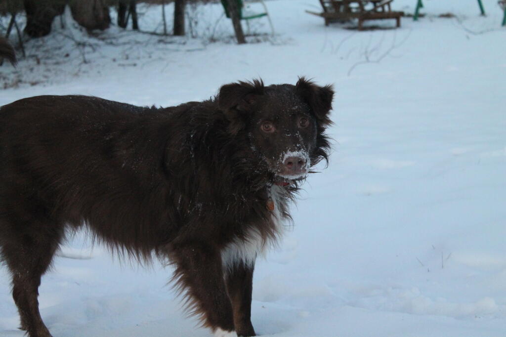 Photo: White Nose