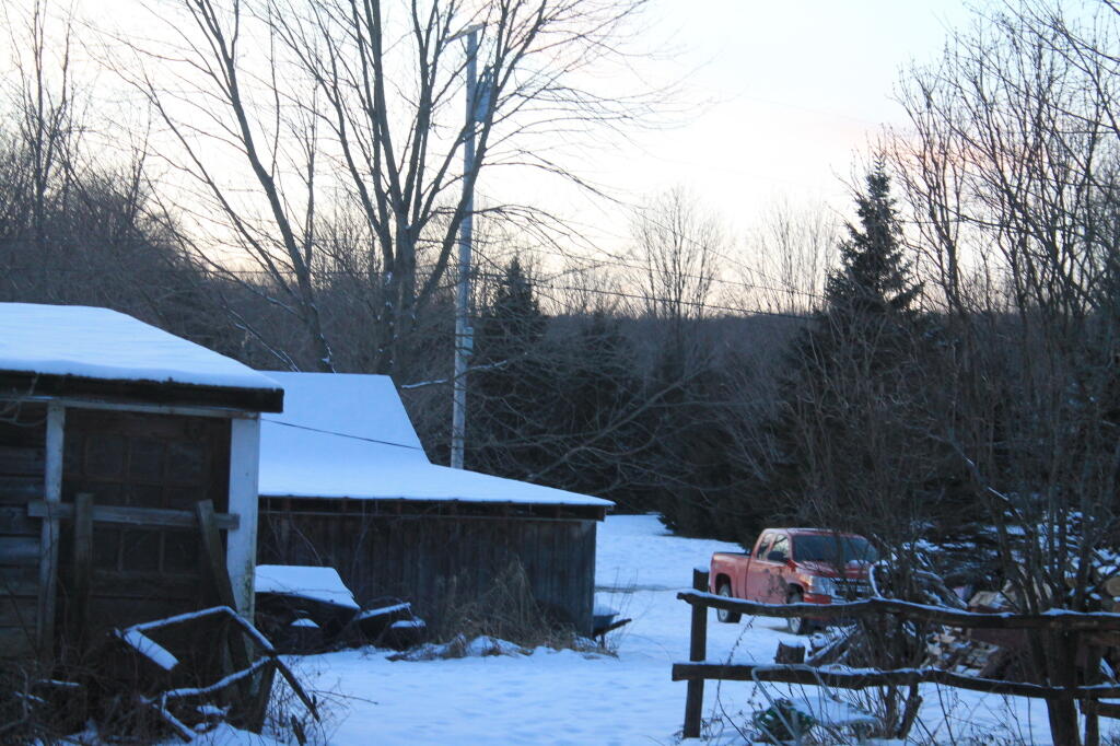 Photo: Wood Pile