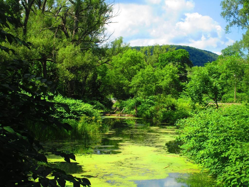 Photo: Backwaters Old Catharine Creek Canal