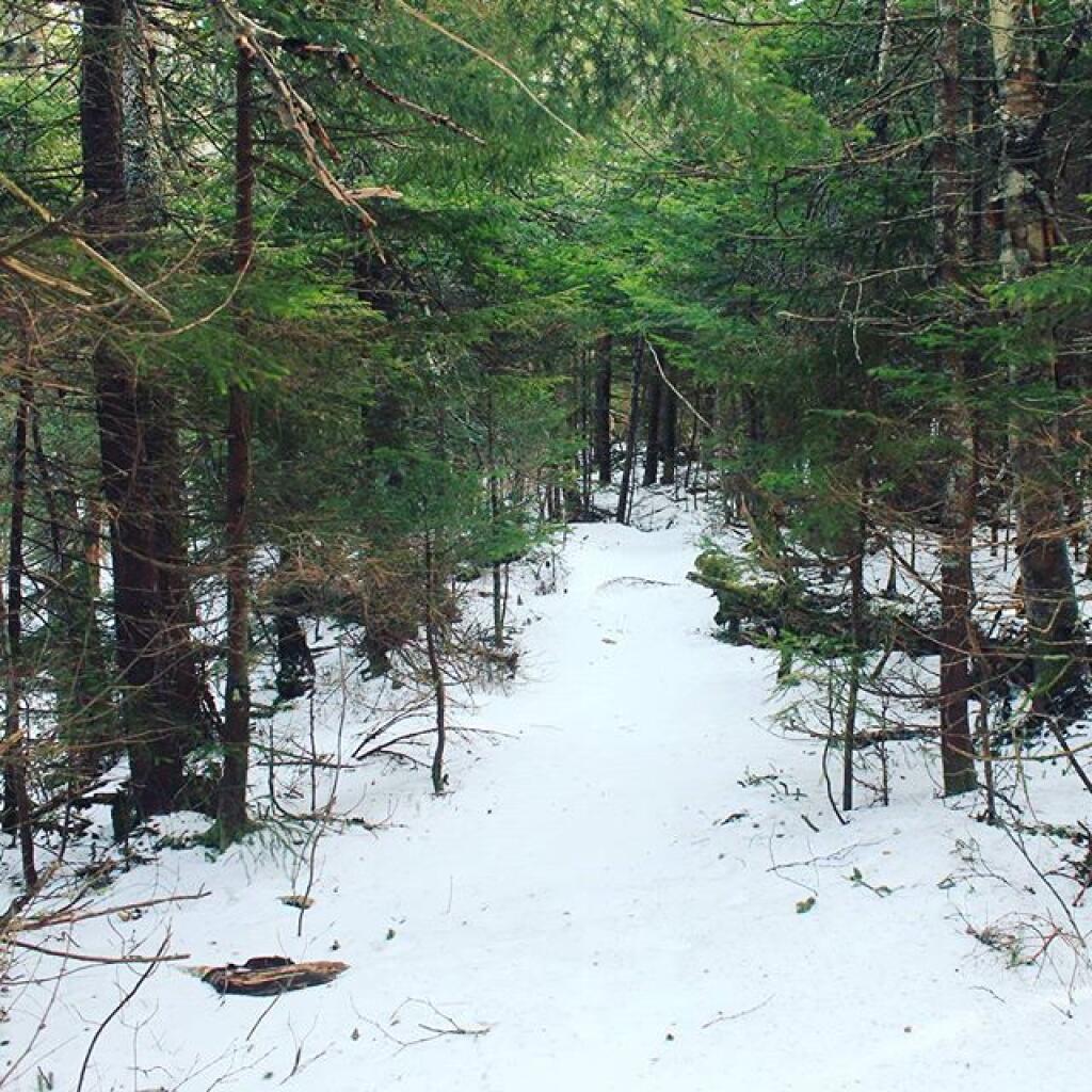 Photo: Few inches of snow on summit