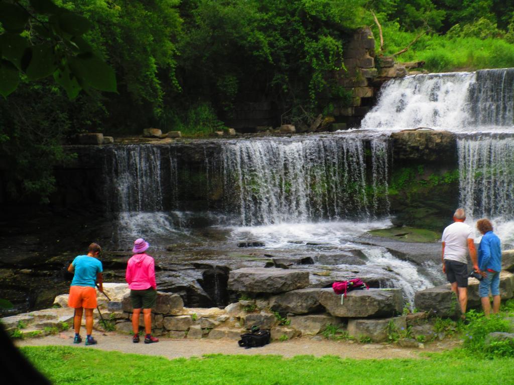 Photo: Mays Mills Falls Photo: Mays Mills Falls