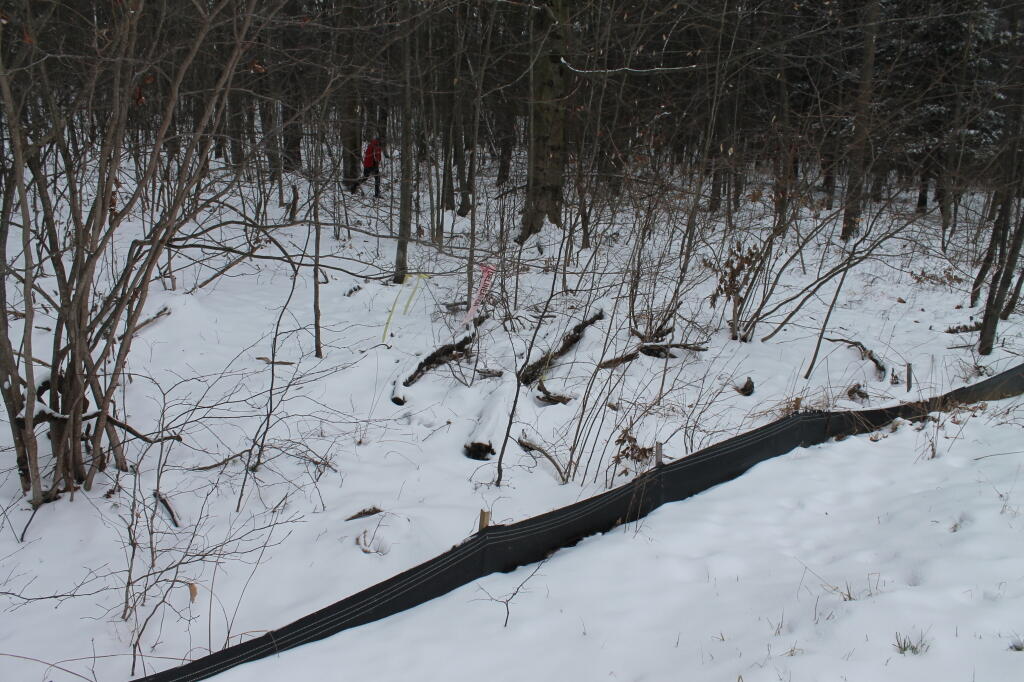Photo: Trying to Reduce Run-off