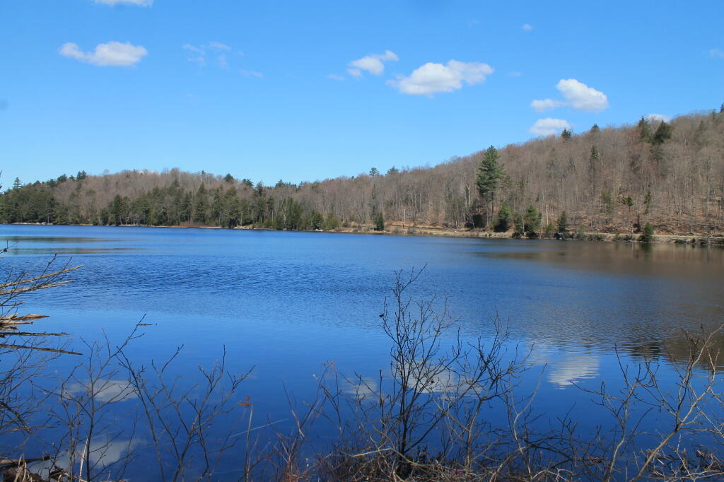 Photo: Huntley Pond from Shoreline
