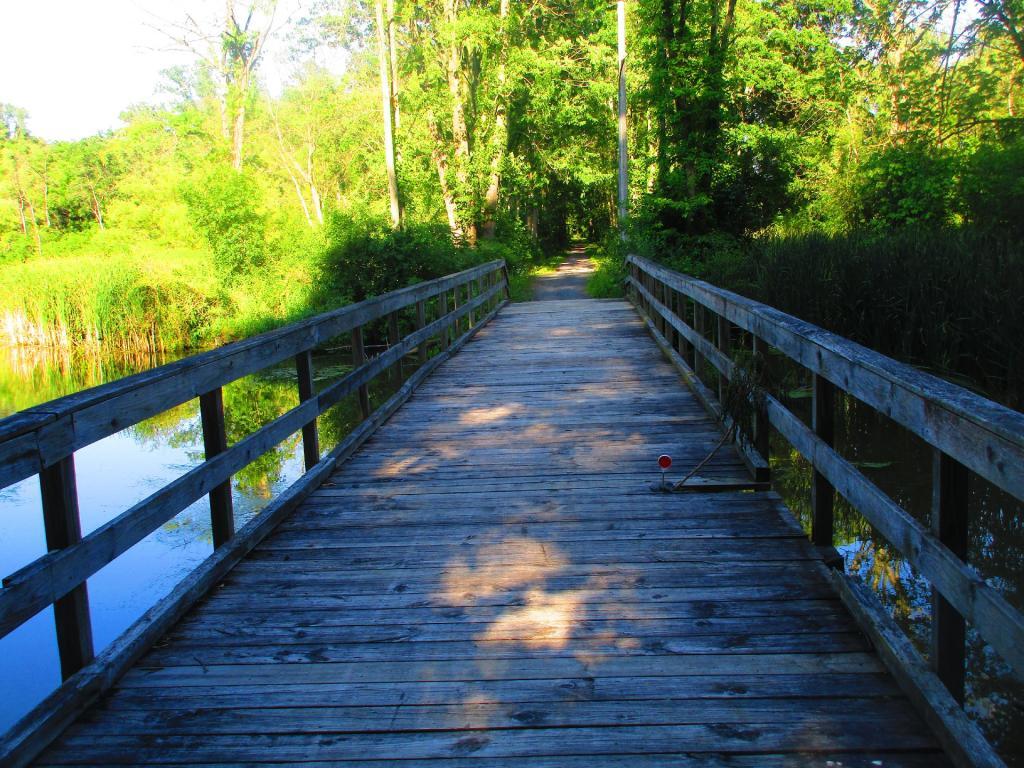 Photo: Bridge on the Cayuta Seneca Cycleway