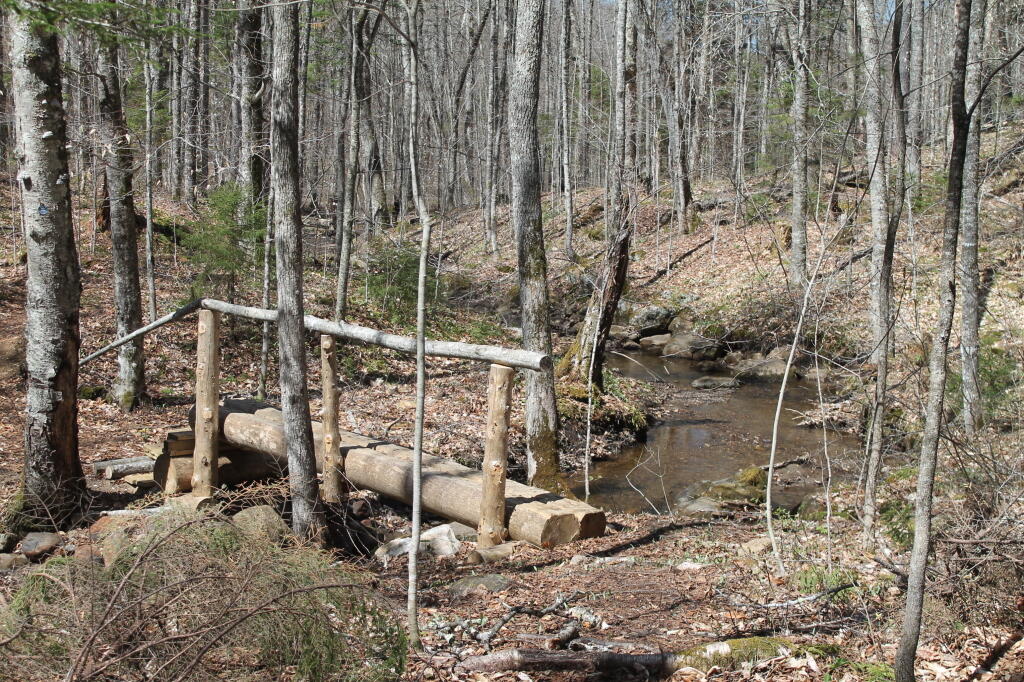 Photo: Nate Pond Brook