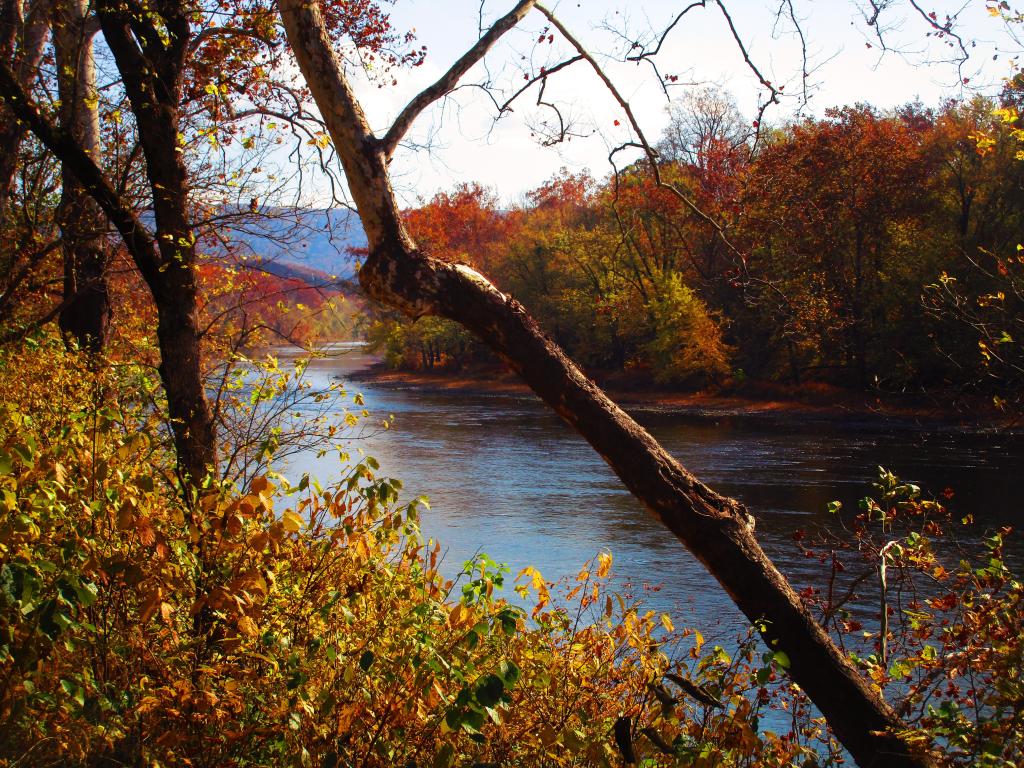 Photo: Potomac River Downstream of Paw Paw Tunnel