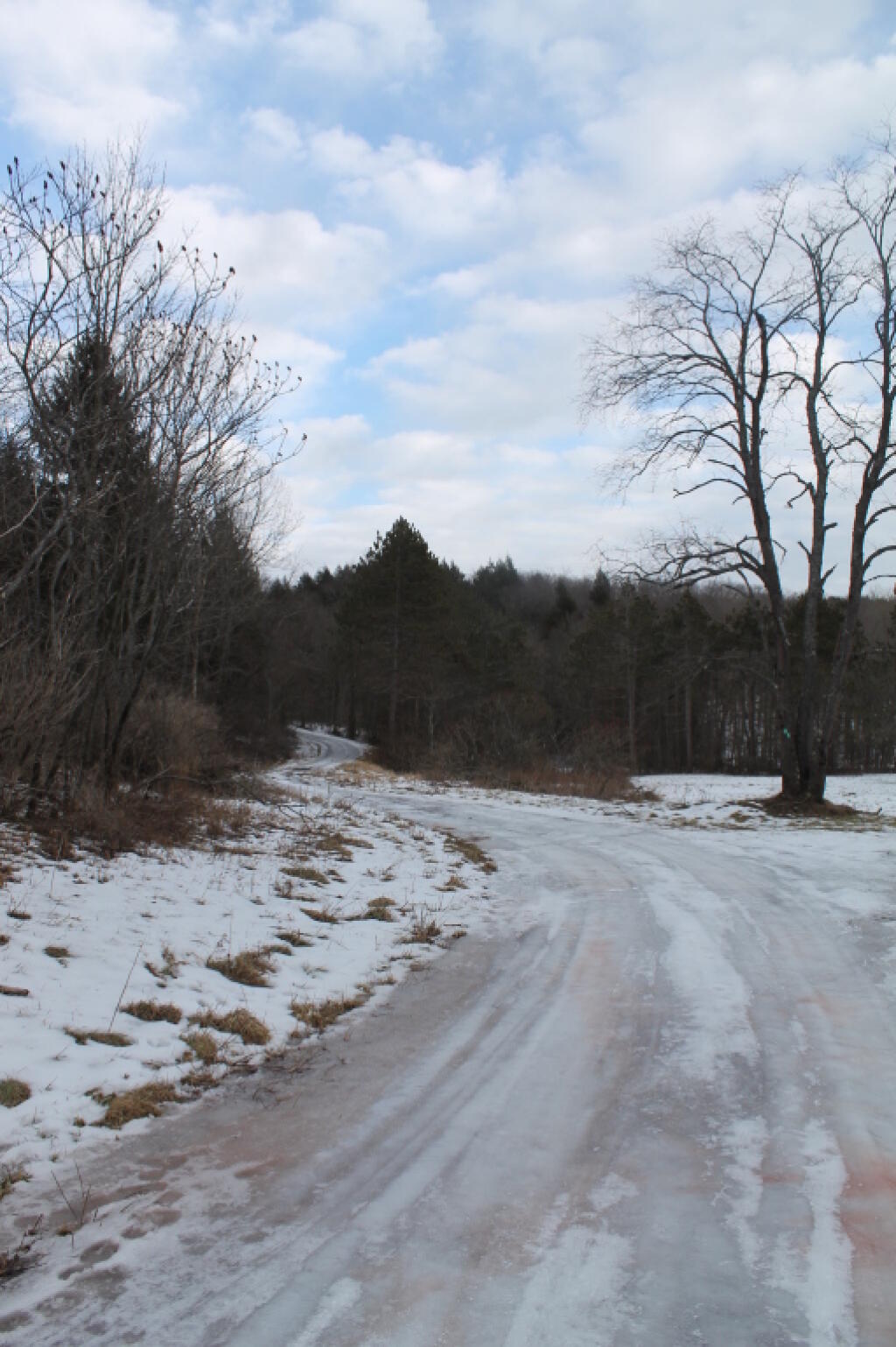 Photo: Ice Covered Partridge Run Road