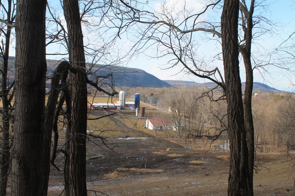 Photo: Looking Across Farm Field