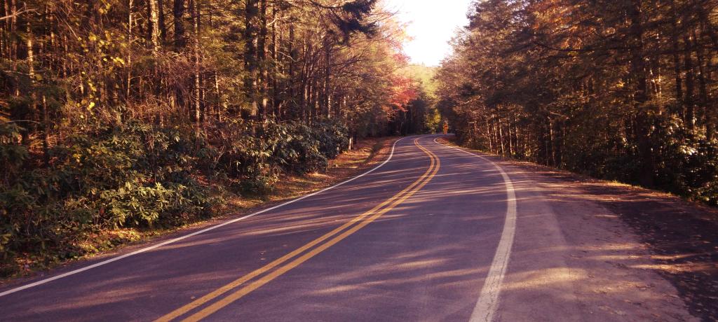 Photo: Blackwater Park Road