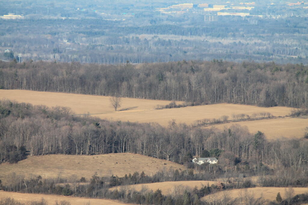 Photo: Fields