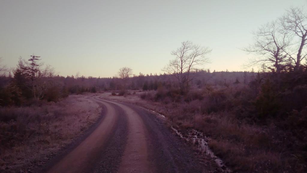 Photo: Frosty Morning