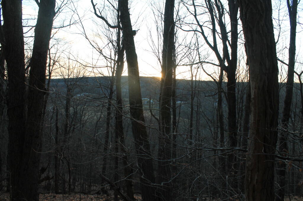 Photo: Sunset