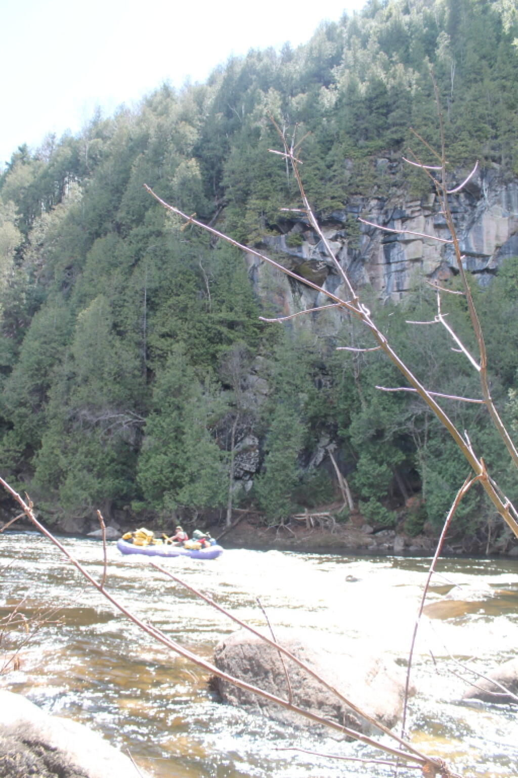 Photo: Rafters