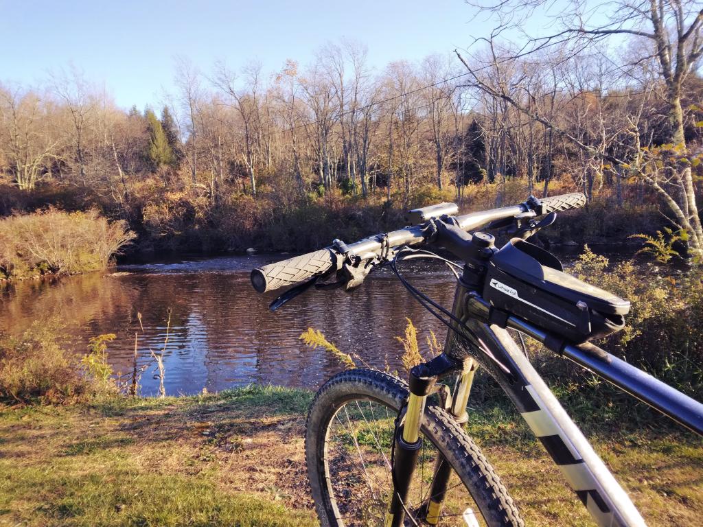 Photo: Down by the Blackwater at Davis Town Park Photo: Down by the Blackwater at Davis Town Park