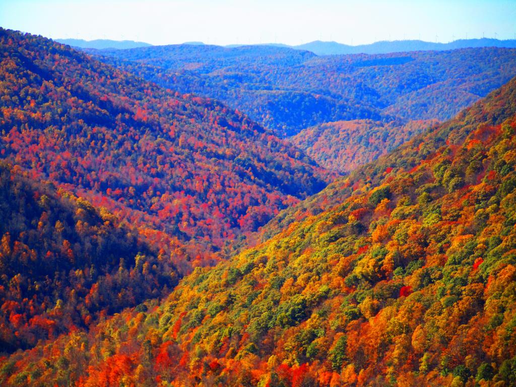 Photo: Blackwater Canyon