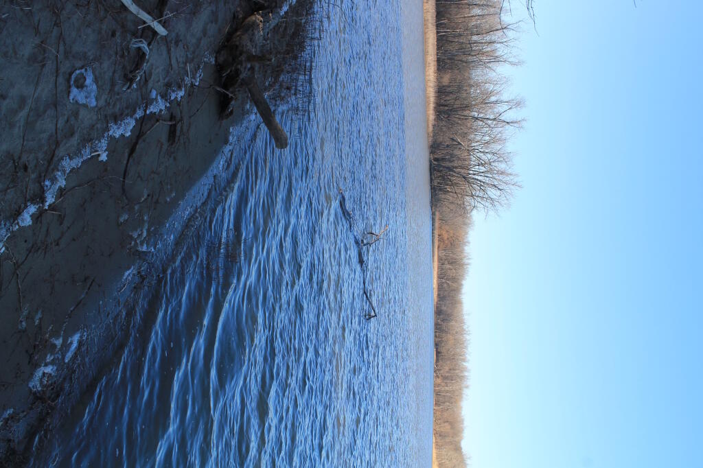 Photo: Shoreline
