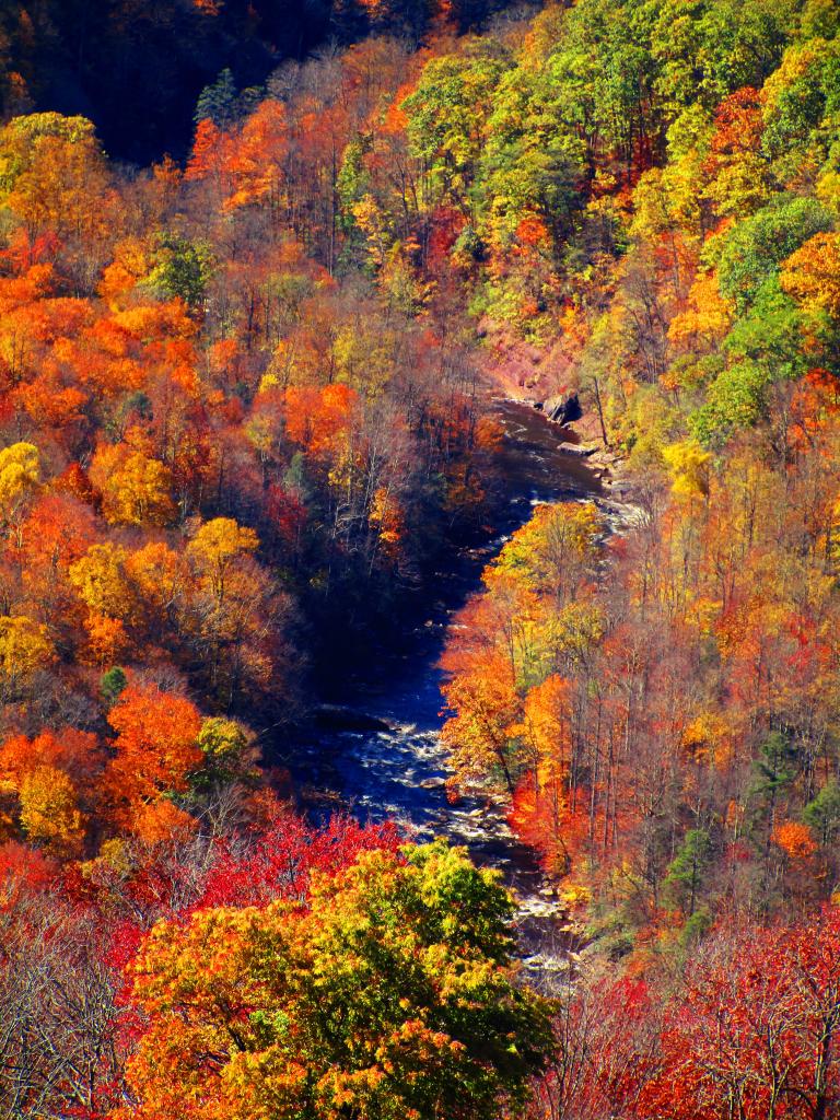 Photo: Blackwater Creek