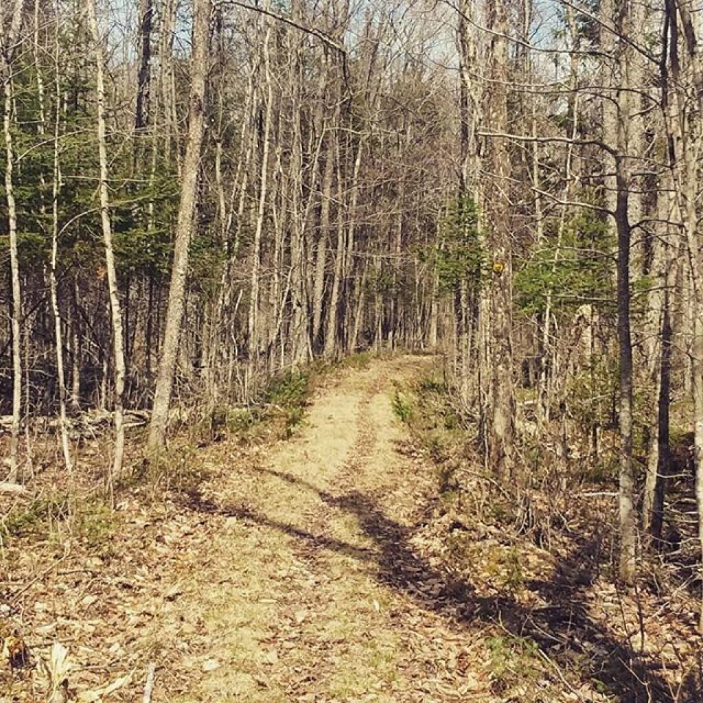 Photo: Auger Falls Snowmobile Trail