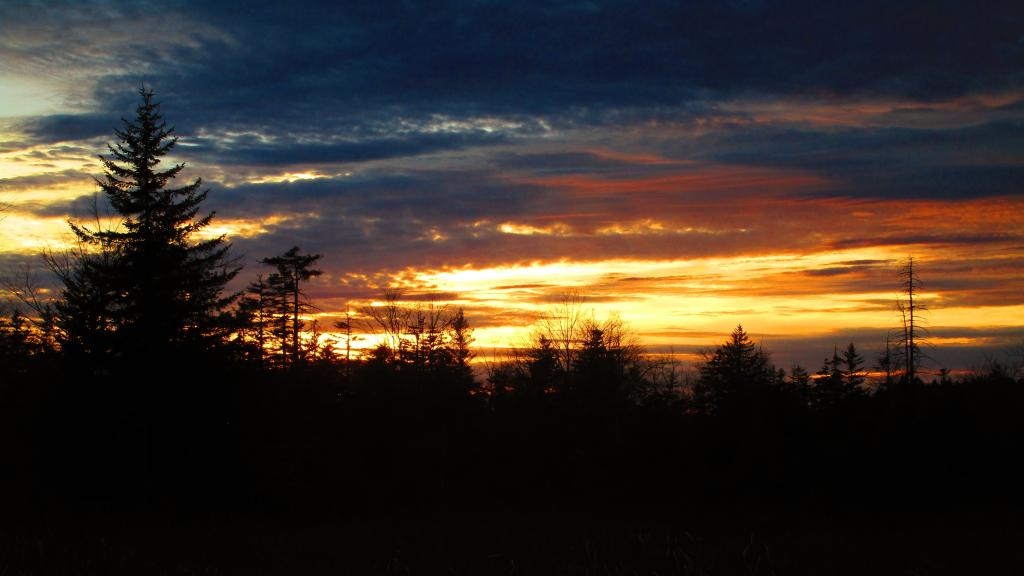 Photo: Beautiful End of the Day