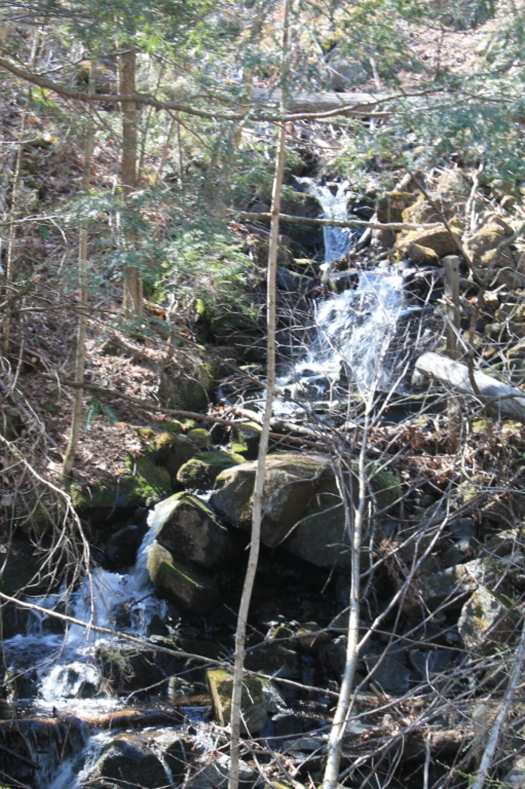 Photo: Waterfall Along the Tracks