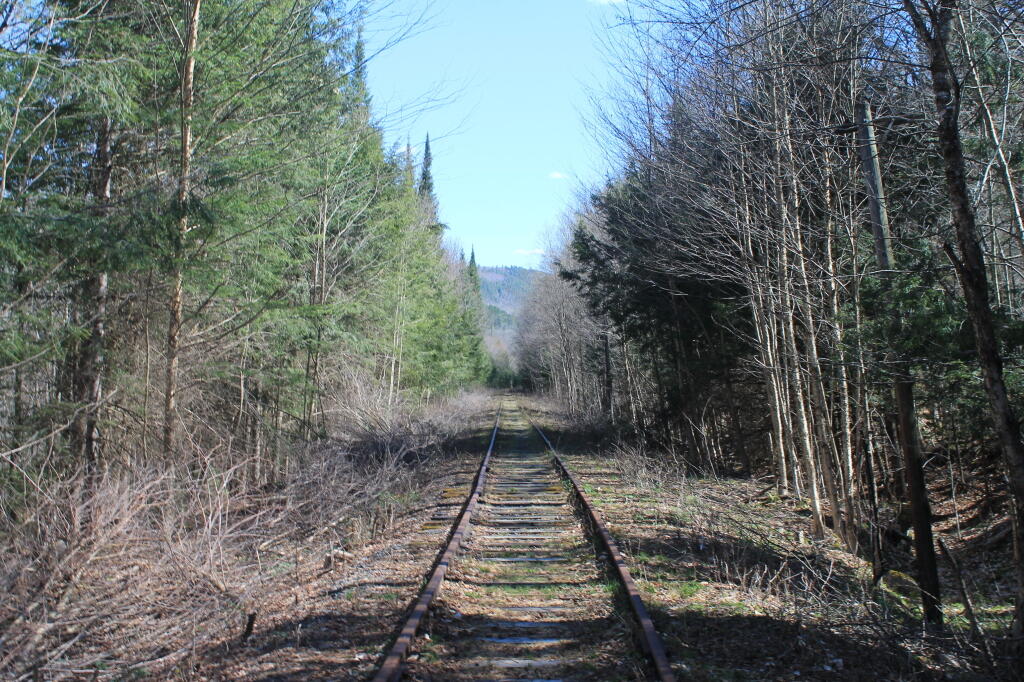 Photo: Shady in the Valley