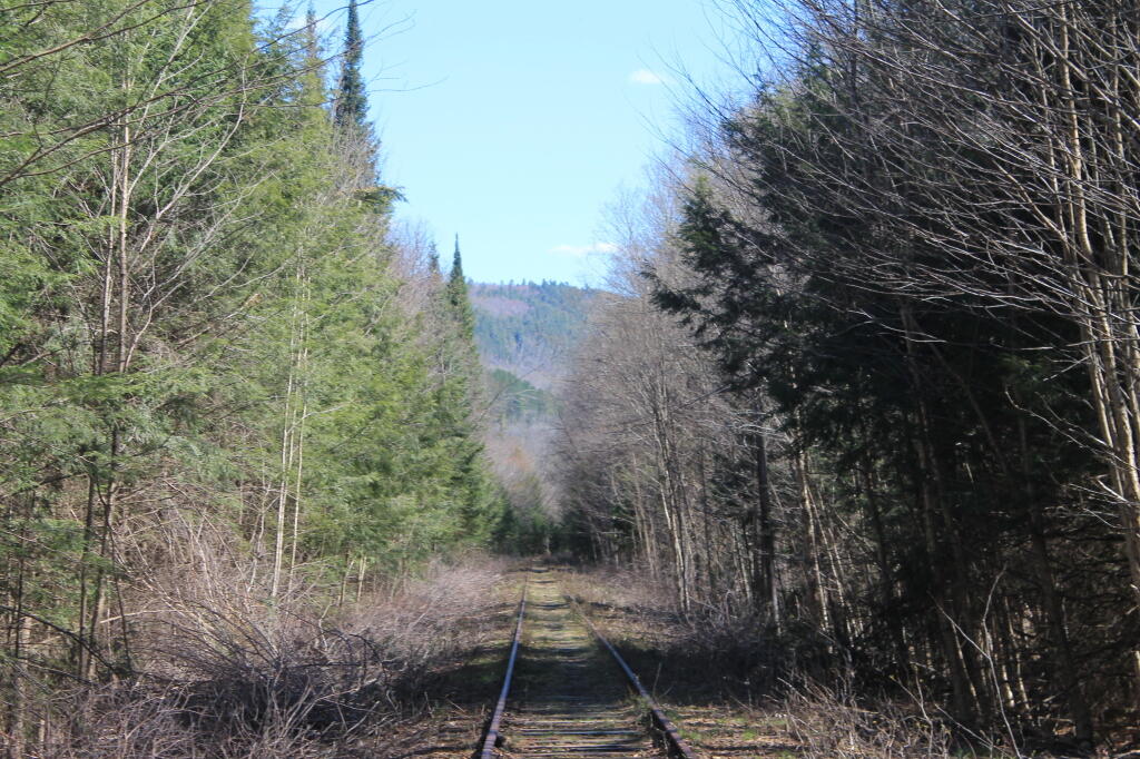 Photo: Mountains in the Distance