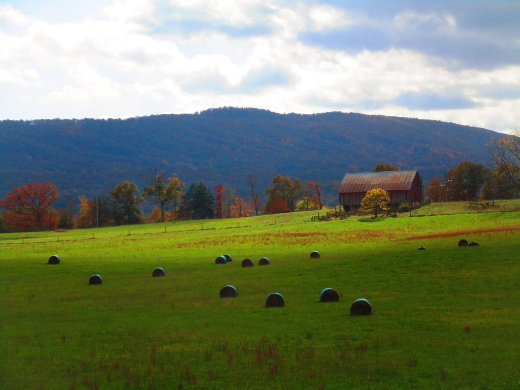 Photo: Farm Country Near Paw Paw
