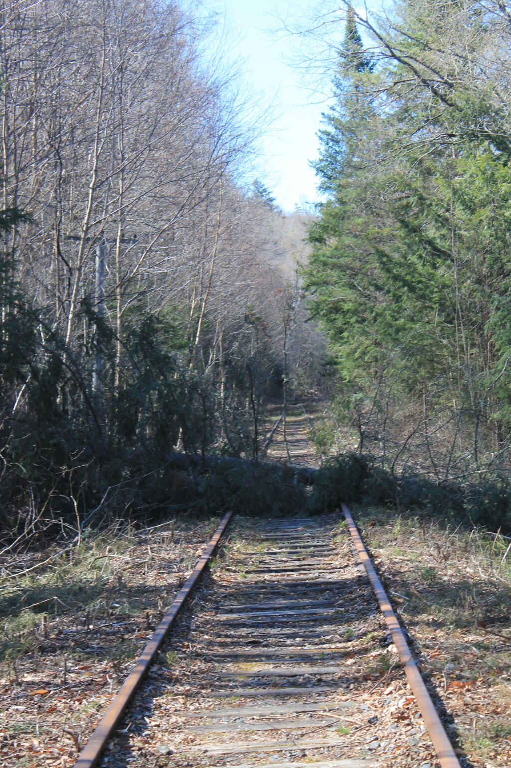 Photo: Won't Be Any Trains Today