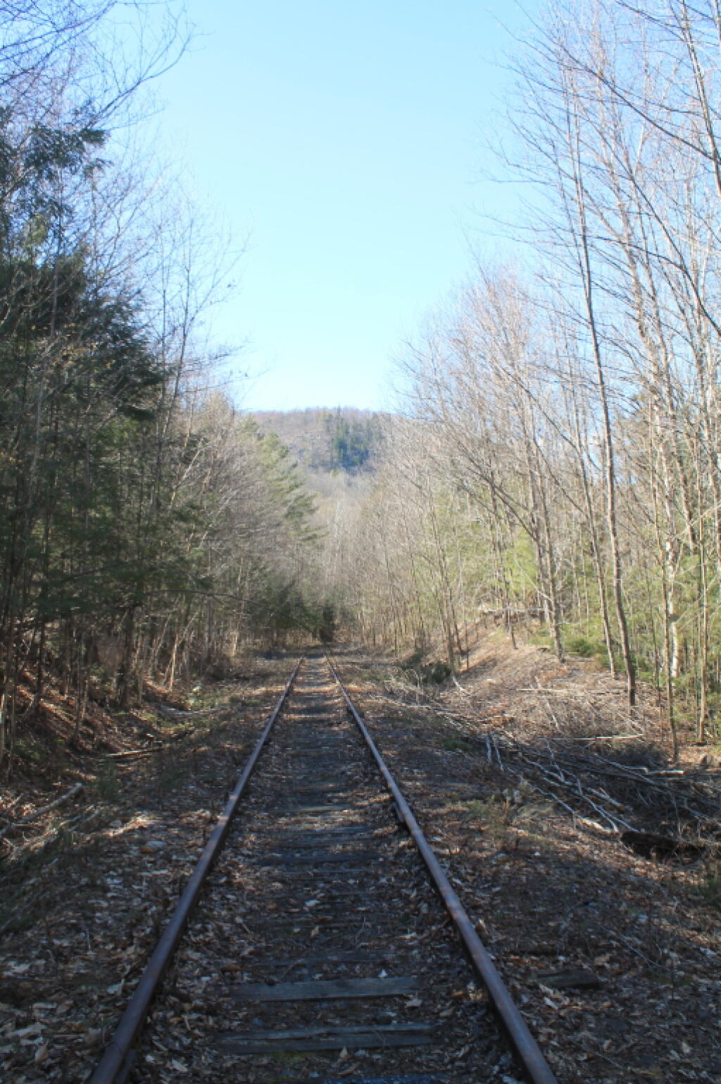 Photo: Railroad Tracks