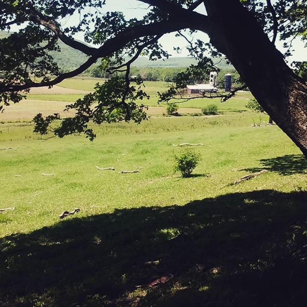Photo: Quite green