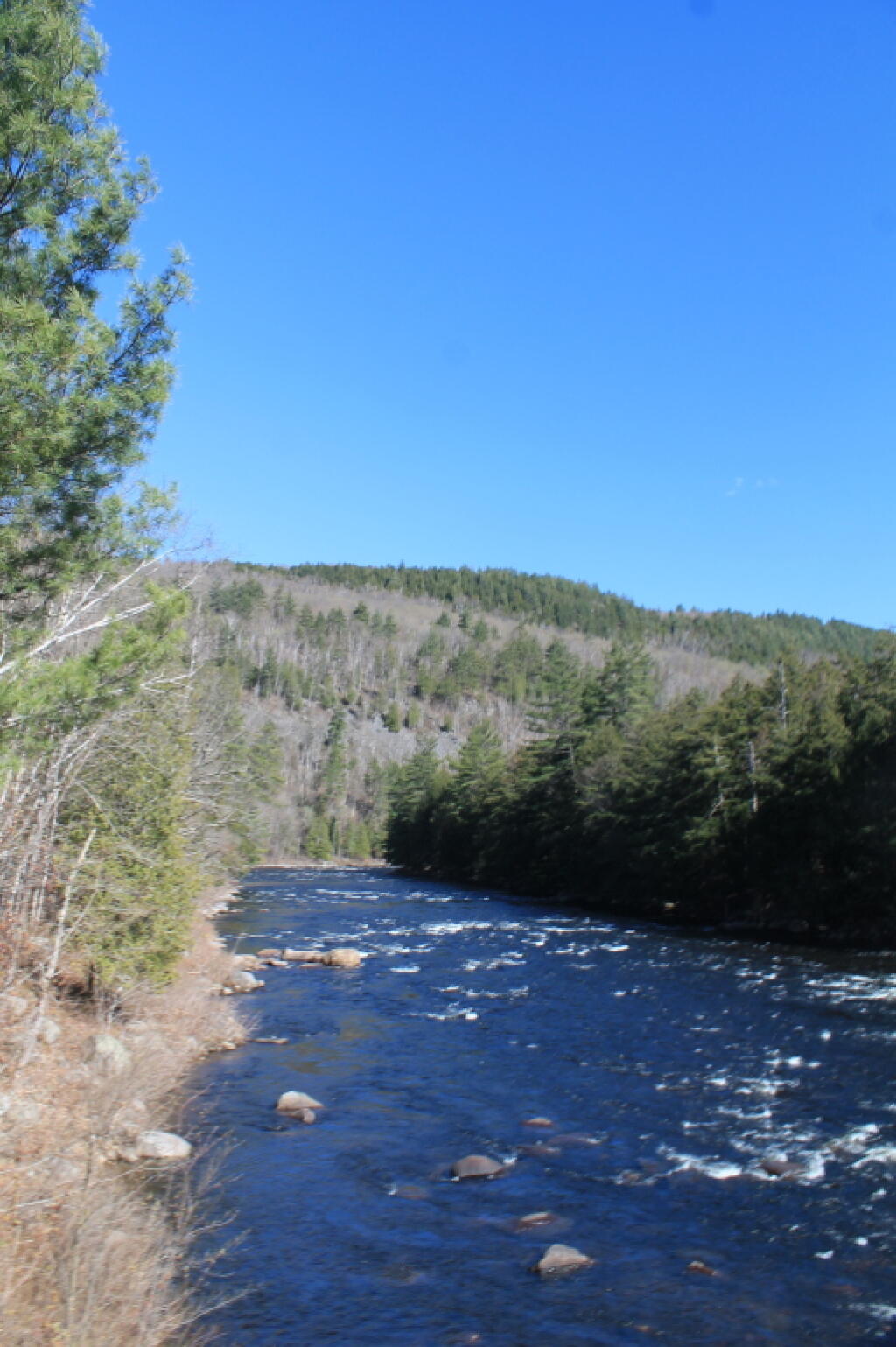 Photo: The River