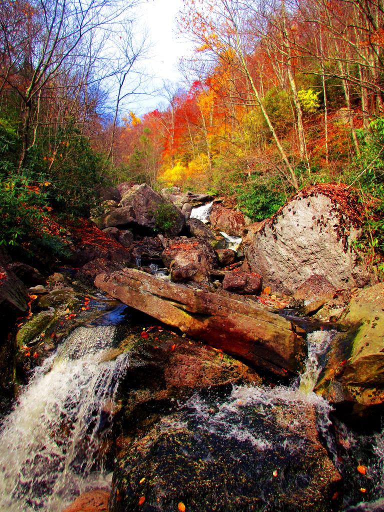 Photo: Big Run Falls from the Limerock Trail