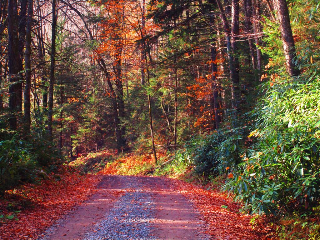 Photo: Canaan Loop Road