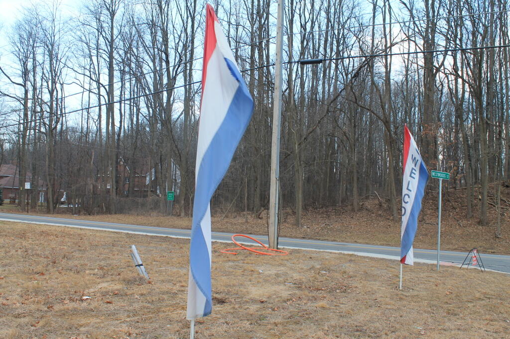 Photo: Welcome! To the Flattened Pine Bush.