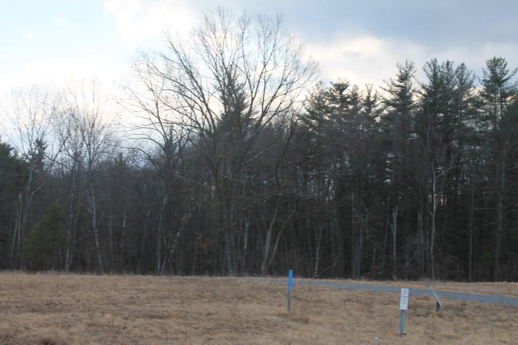 Photo: Landfilled Shore of the Hunger Kill Tributory