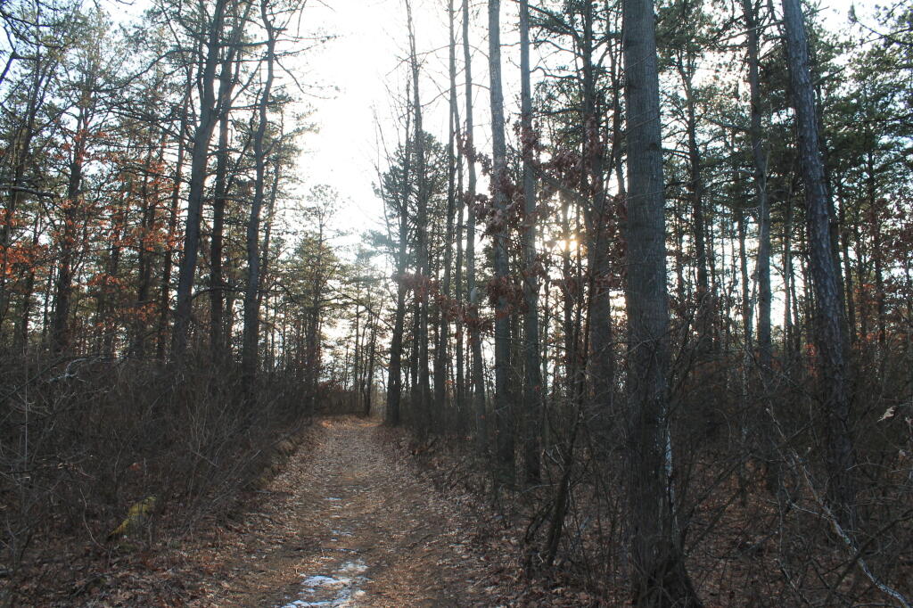 Photo: Wandering Back