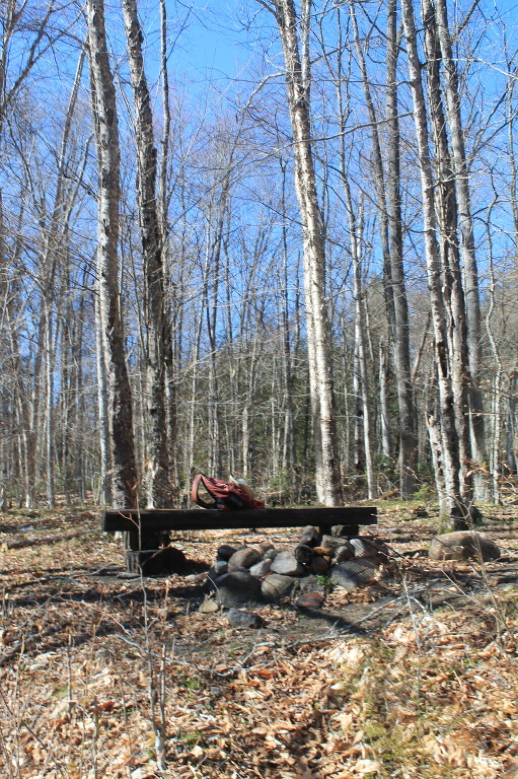 Photo: Camp