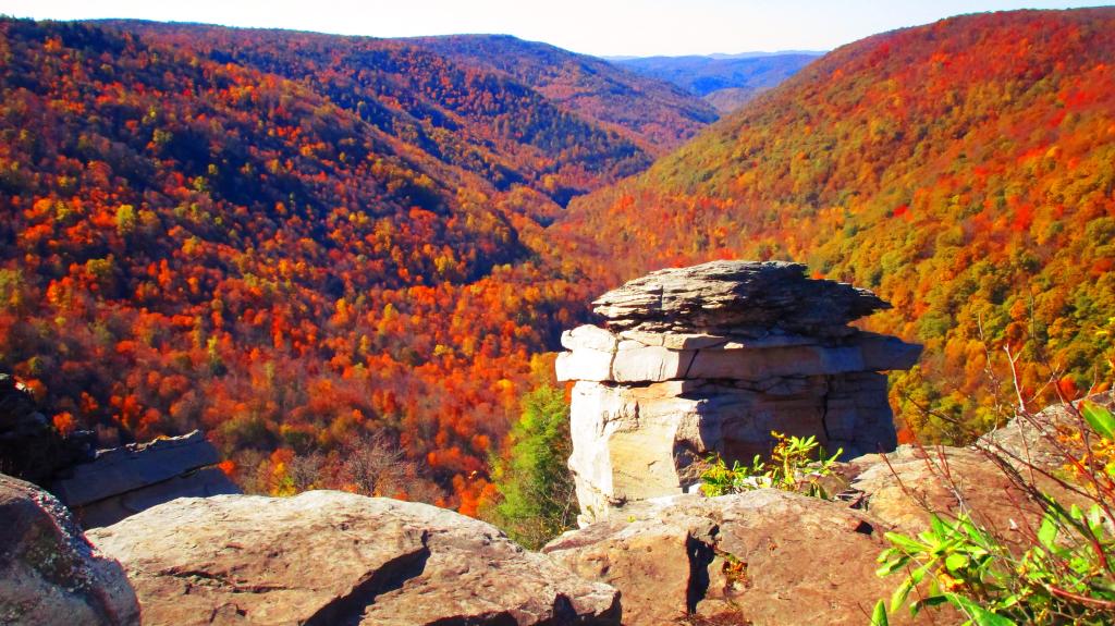 Photo: Alternative View of Lindy Point