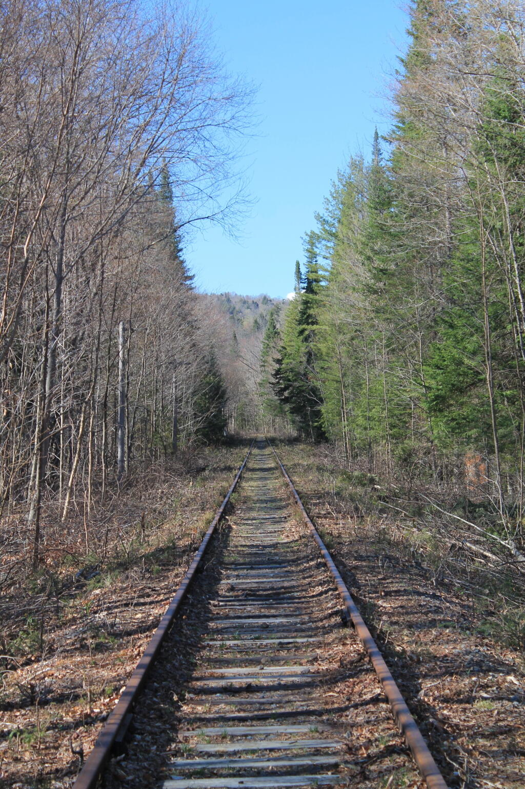 Photo: Straight