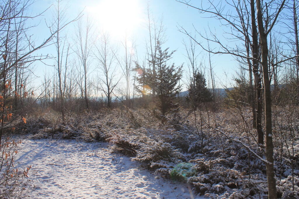 Photo: Sparkling Sun