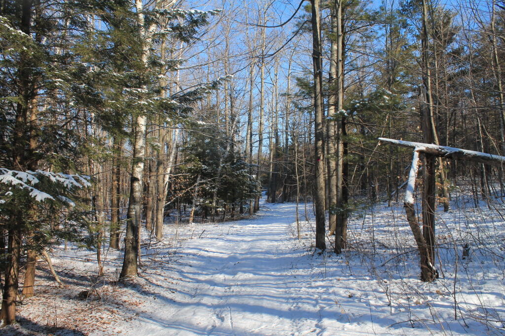 Photo: Fresh Snow on Hang Gliders Road