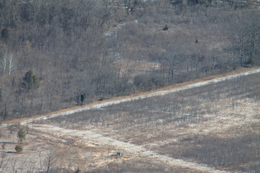 Photo: Grown Up Farm Field