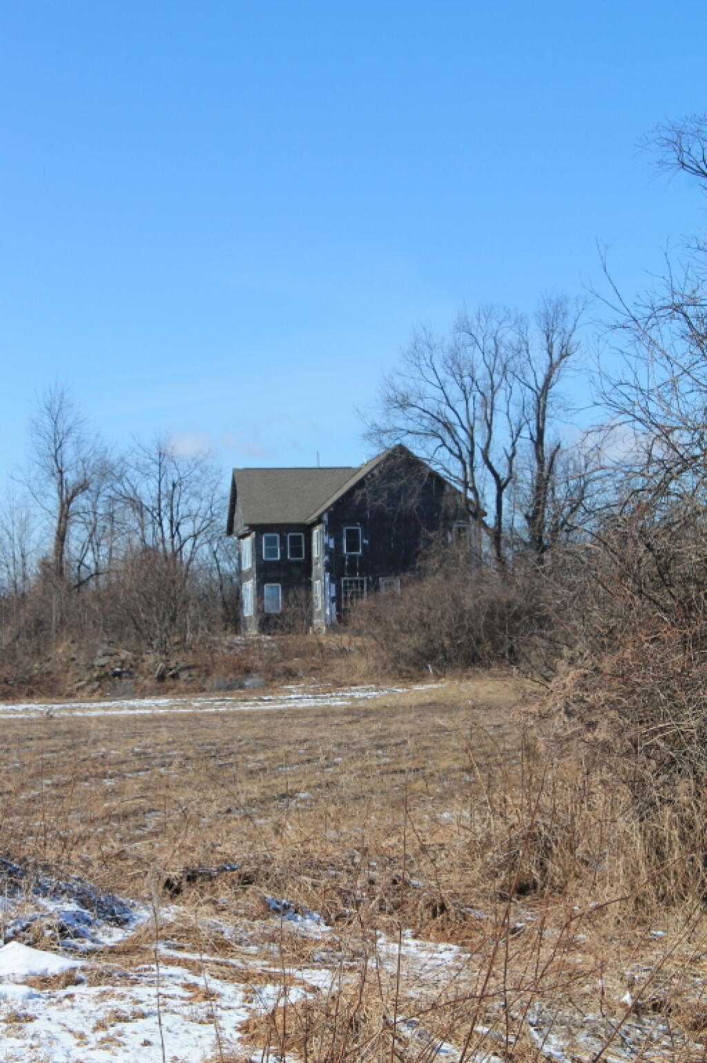 Photo: They're Fixing Up the Abandoned House