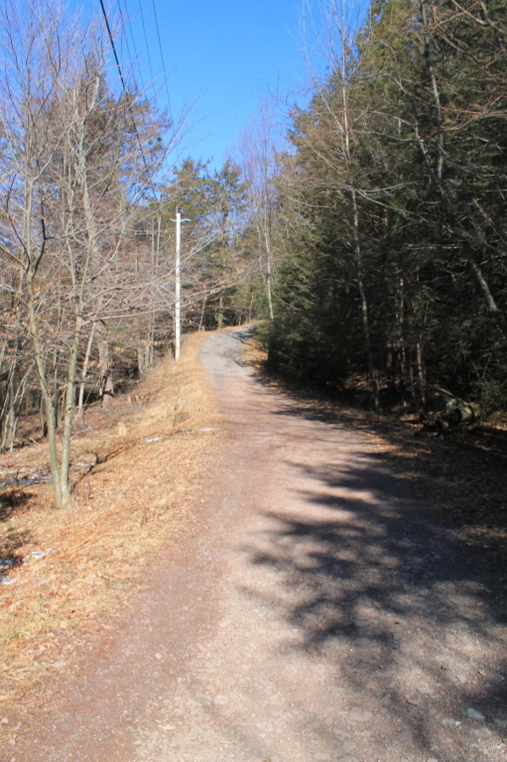 Photo: Snowless Trail
