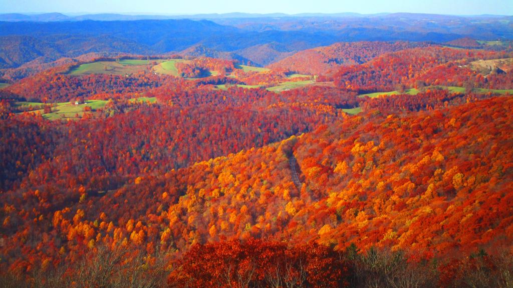 Photo: North from the Olson Firetower