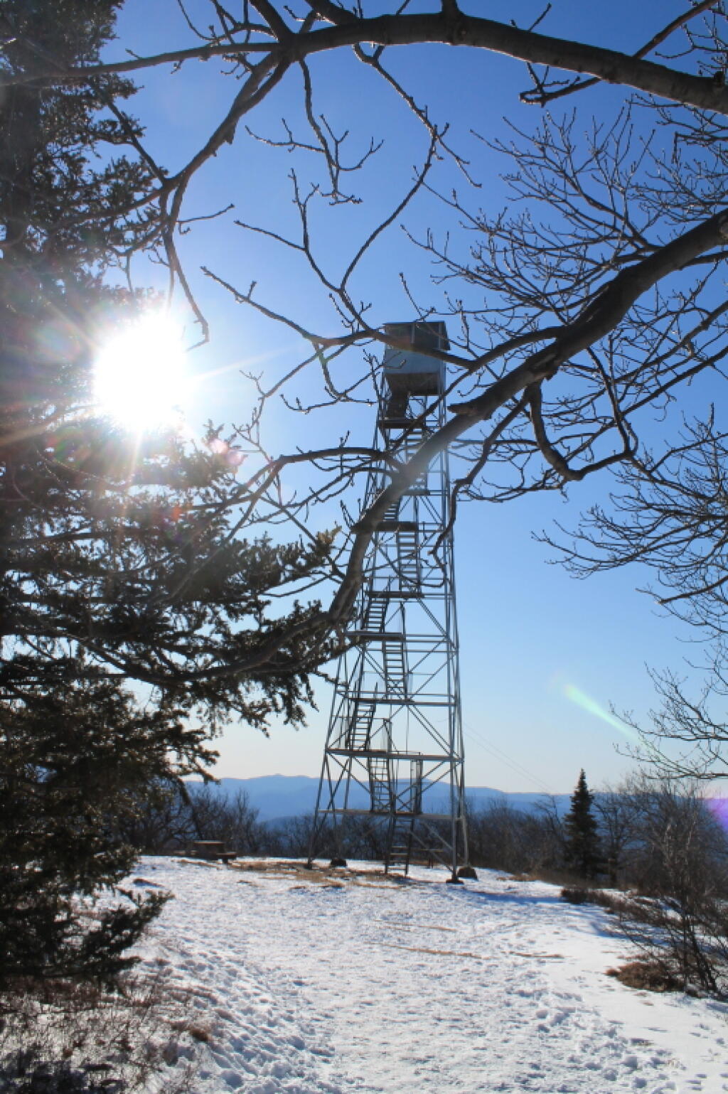 Photo: The Tower