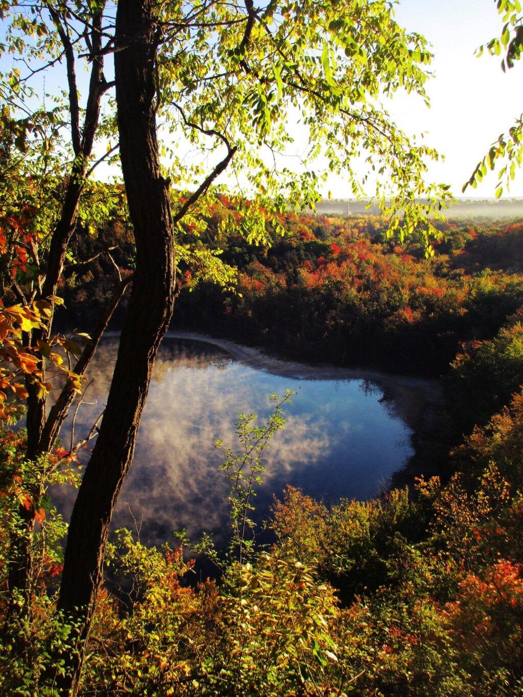 Photo: Swampy Edge