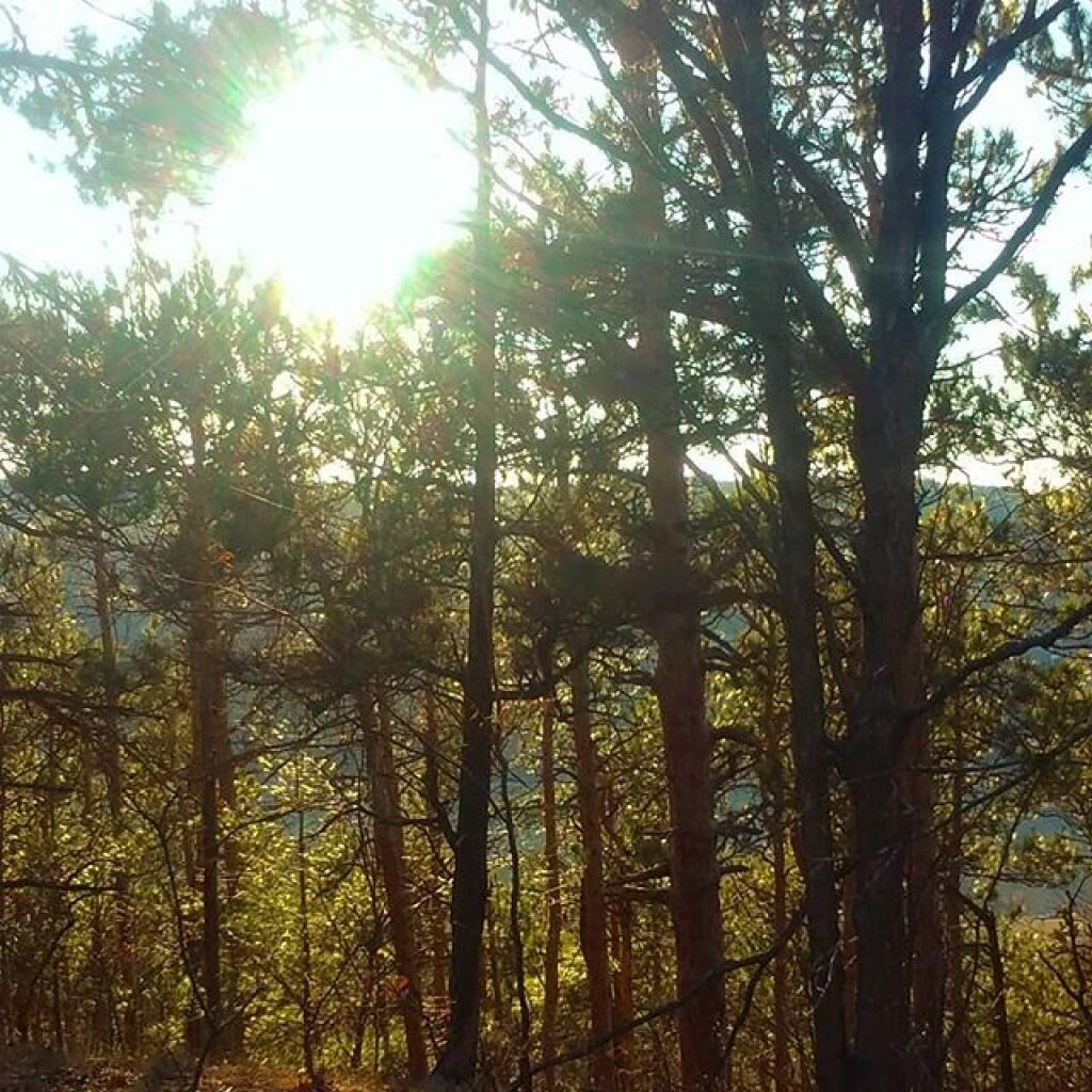 Photo: Evening