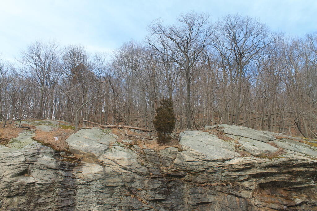 Photo: Top of Rock Cut