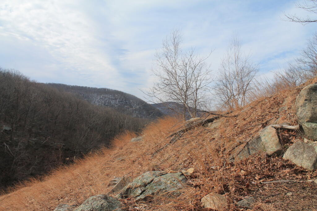 Photo: Heading Up Storm King